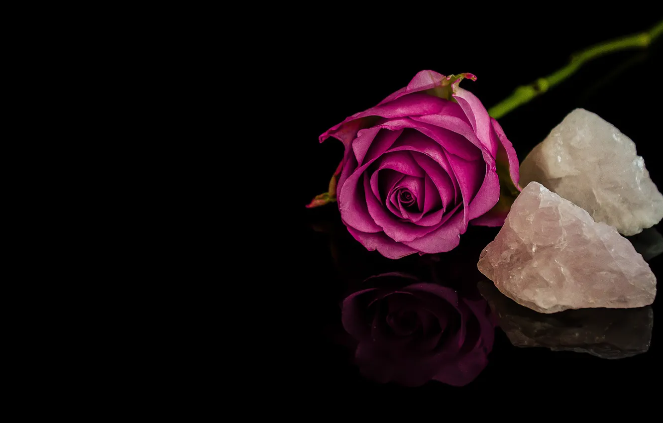 Photo wallpaper rose, Bud, minerals