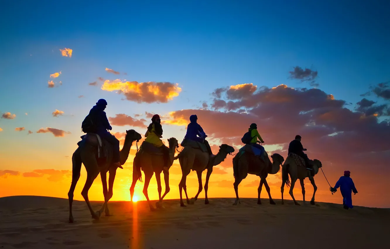 Photo wallpaper desert, camels, caravan, Sugar