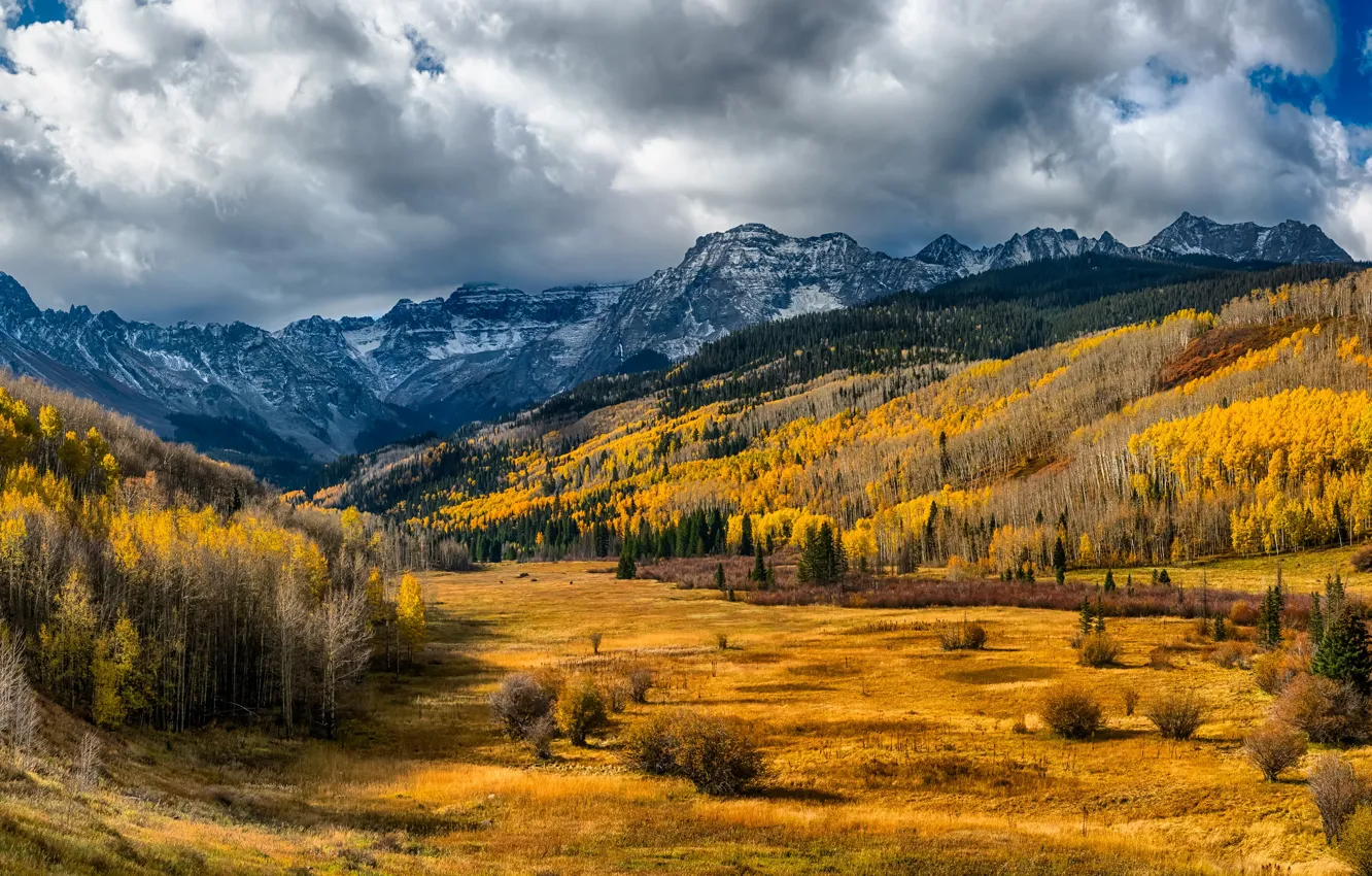 Photo wallpaper autumn, forest, the sun, clouds, trees, mountains, valley, USA