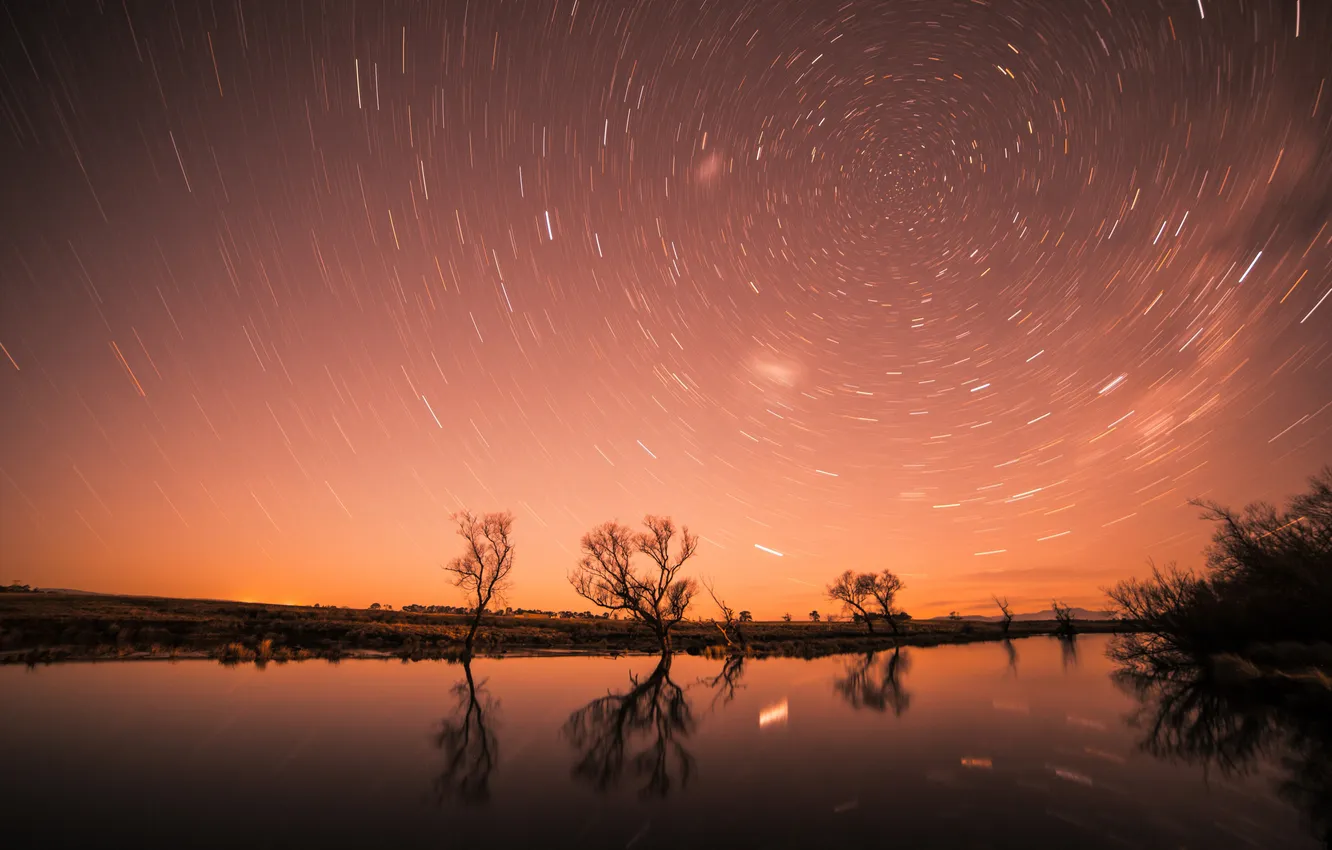 Photo wallpaper Night, Lake, Trees, Night, Lake, Trees, Nature Scenery, Star Tracks
