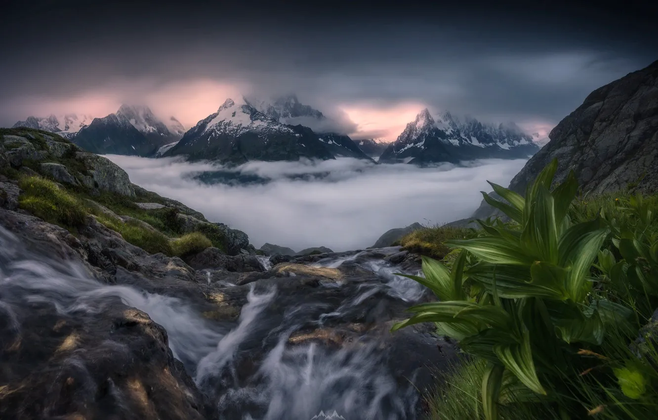 Photo wallpaper grass, leaves, clouds, snow, landscape, mountains, nature, fog