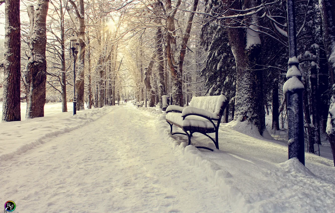 Photo wallpaper winter, the sun, snow, bench, Park, Pavel Nazarenko