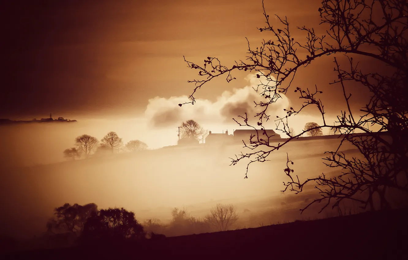 Photo wallpaper field, trees, fog, house, slope, hill