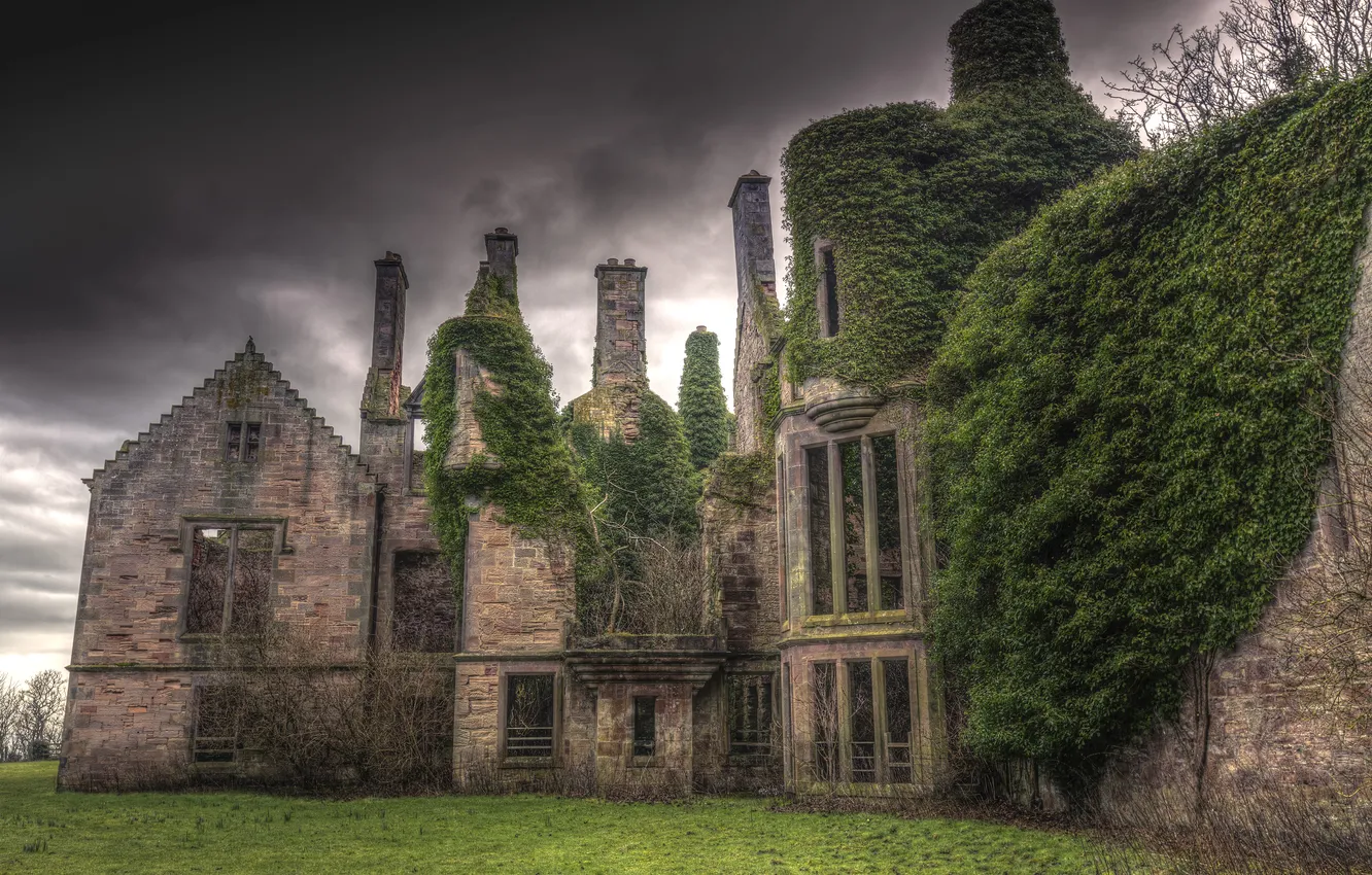 Photo wallpaper greens, grass, clouds, overcast, glade, home, abandoned, old