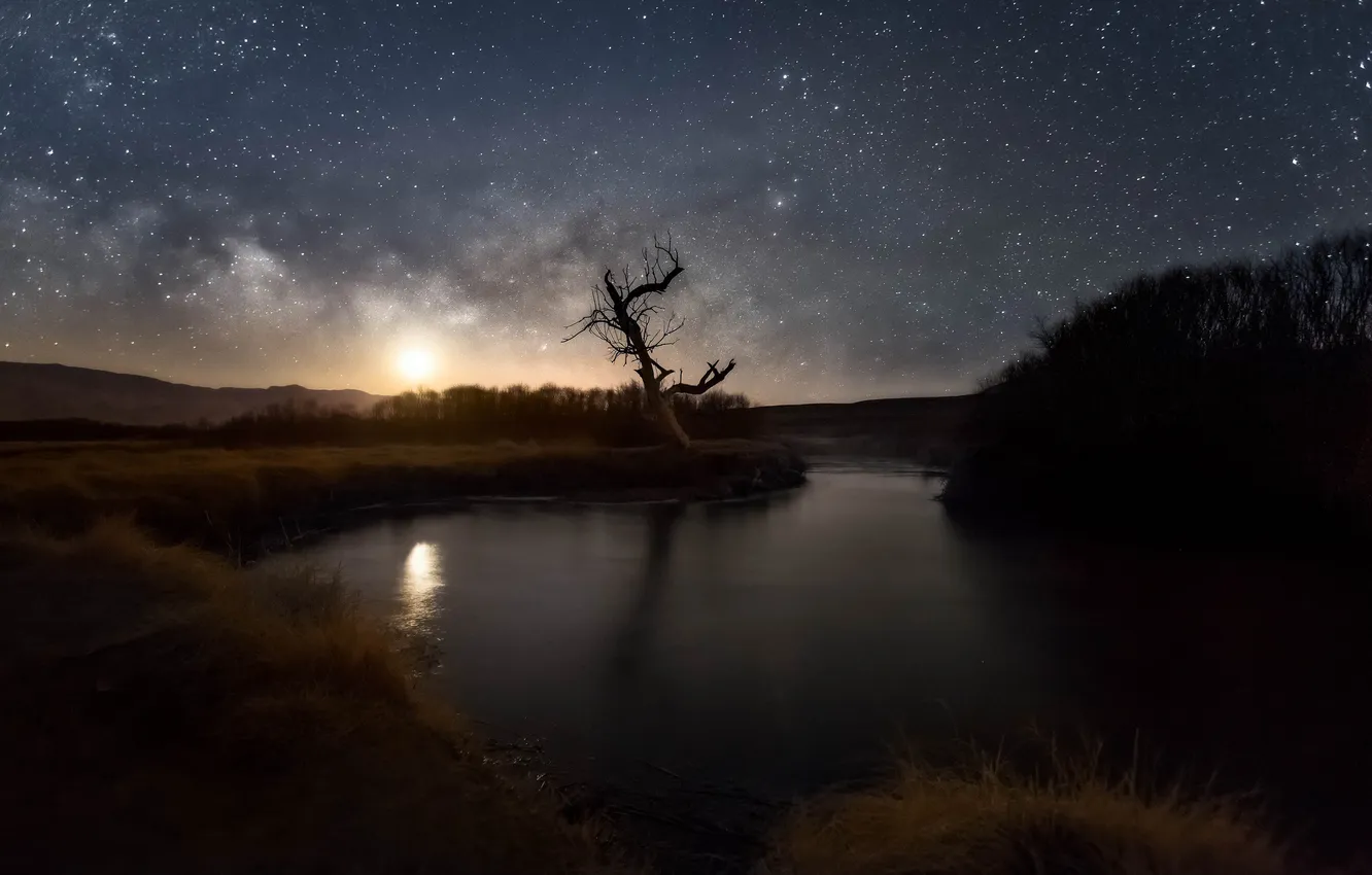 Photo wallpaper the sky, stars, trees, nature, river