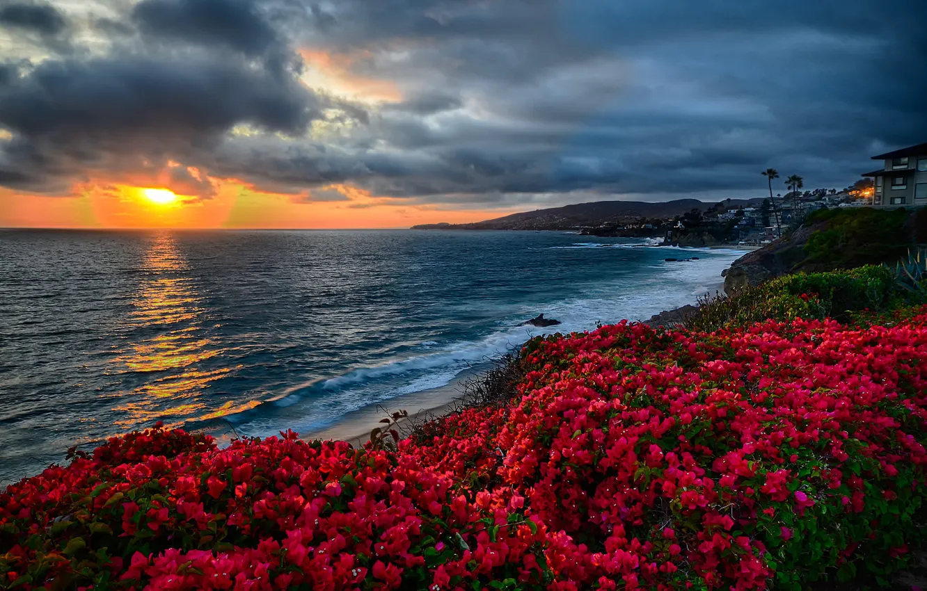 Photo wallpaper landscape, sunset, flowers, clouds, nature, the ocean, coast, CA