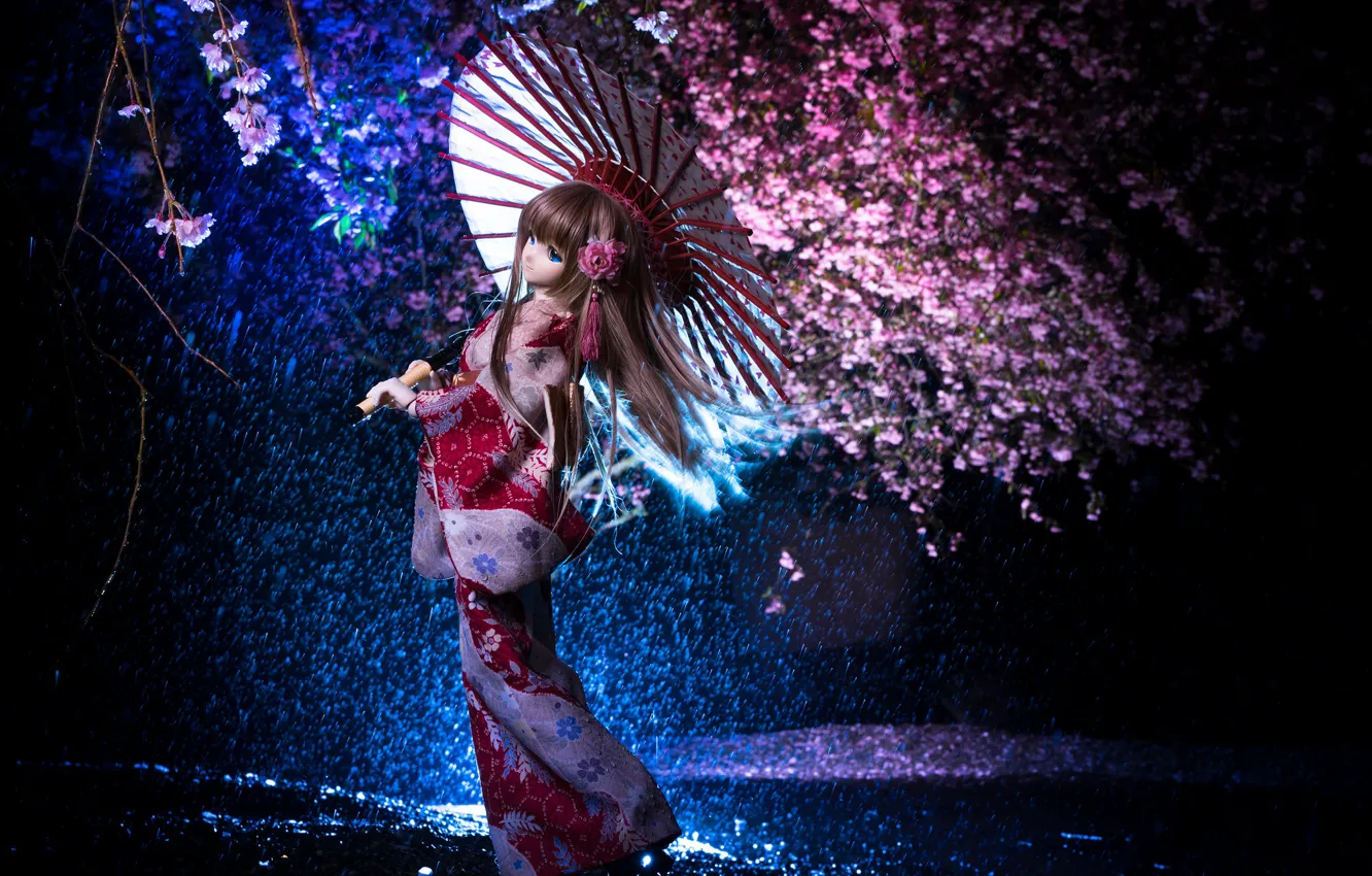 Photo wallpaper night, umbrella, Japanese, doll, Sakura, kimono