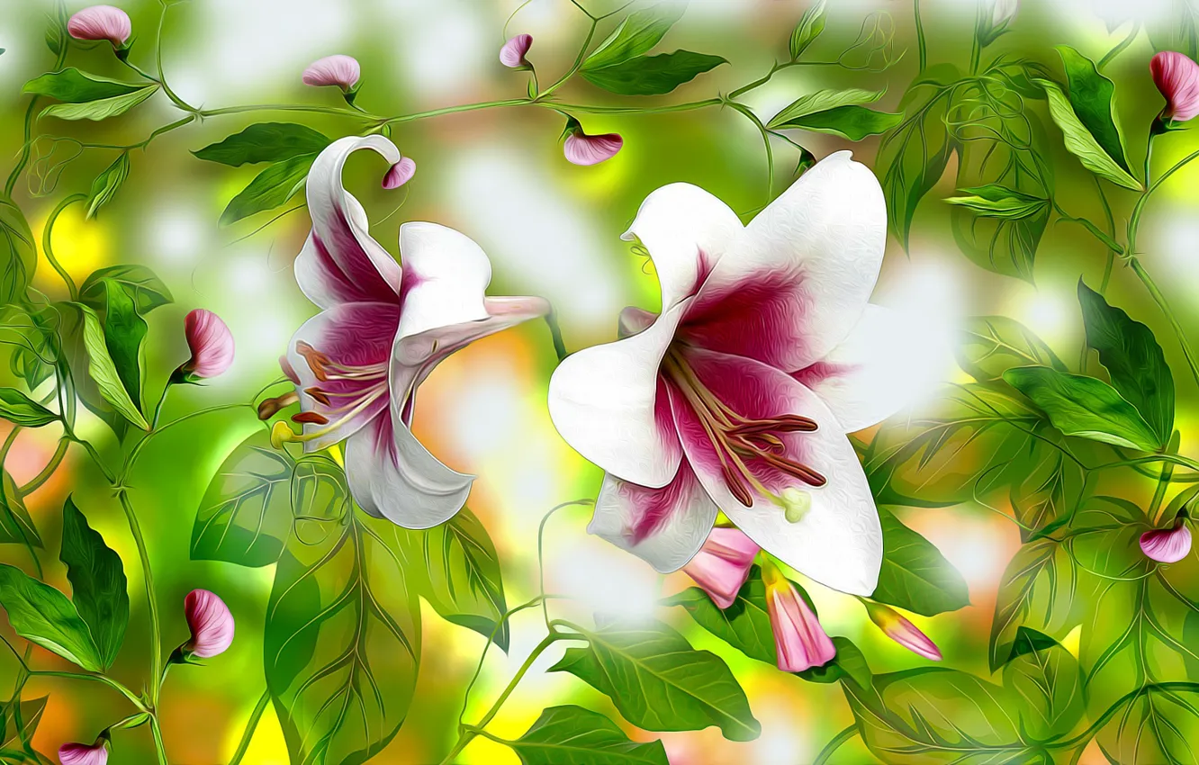 Wallpaper Graphics, Flowers, Lilie for mobile and desktop, section ...