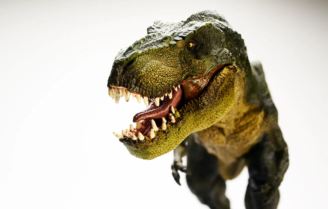 Photo wallpaper toy, dinosaur, scavenger