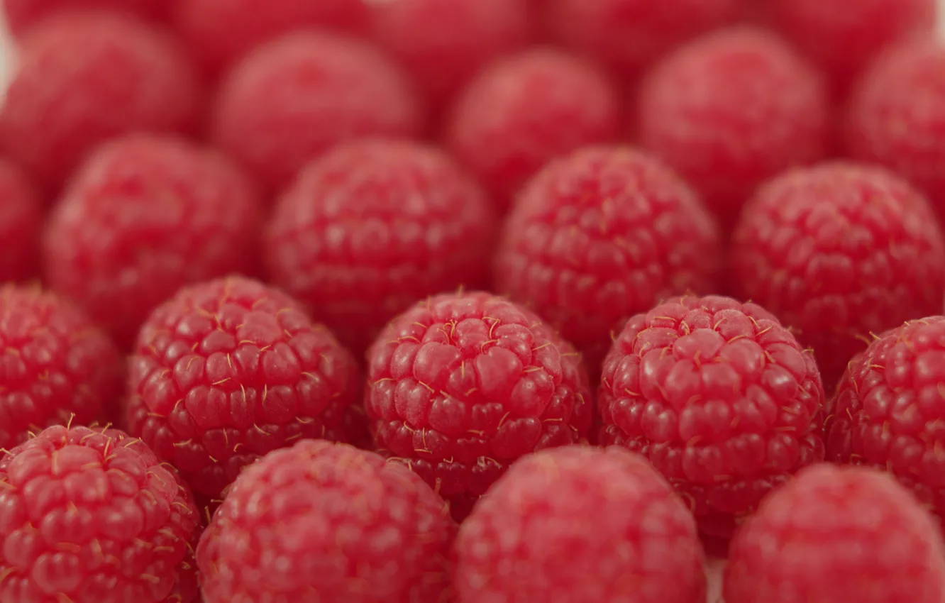 Photo wallpaper raspberry, berry, the ranks