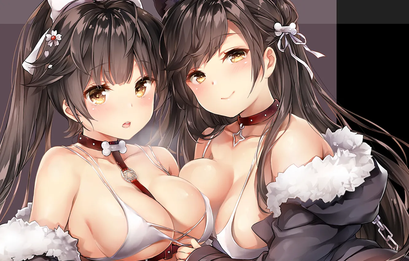 Photo wallpaper sexy, lingerie, bra, cleavage, long hair, girls, boobs, animal ears
