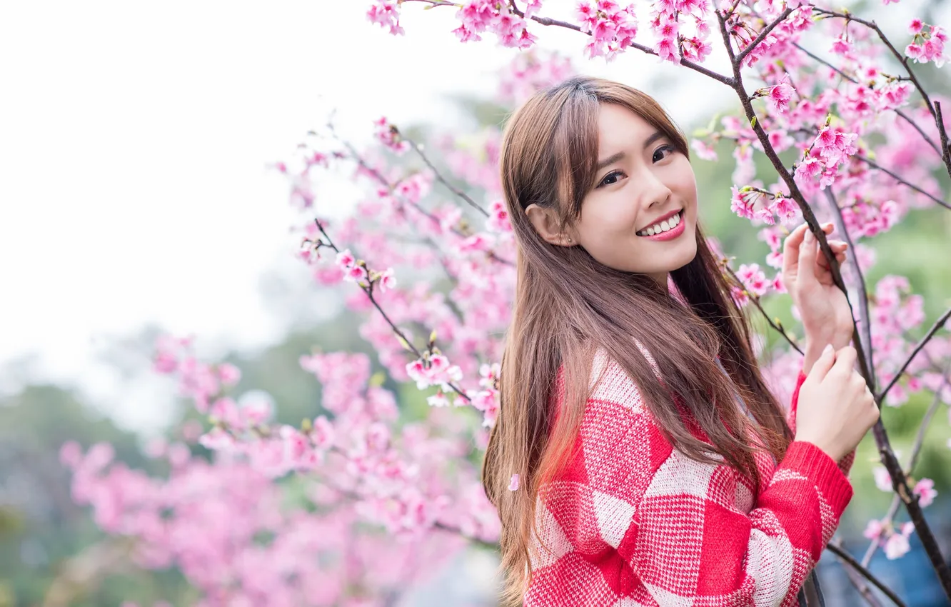 Photo wallpaper summer, face, smile, hair, Sakura, Asian, cutie