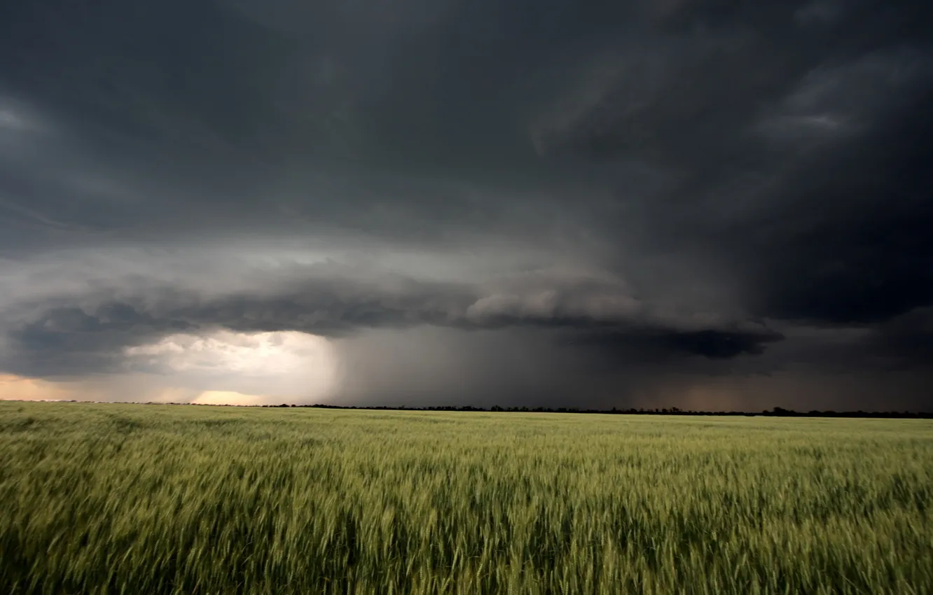 Photo wallpaper the storm, field, summer, landscape, clouds, nature