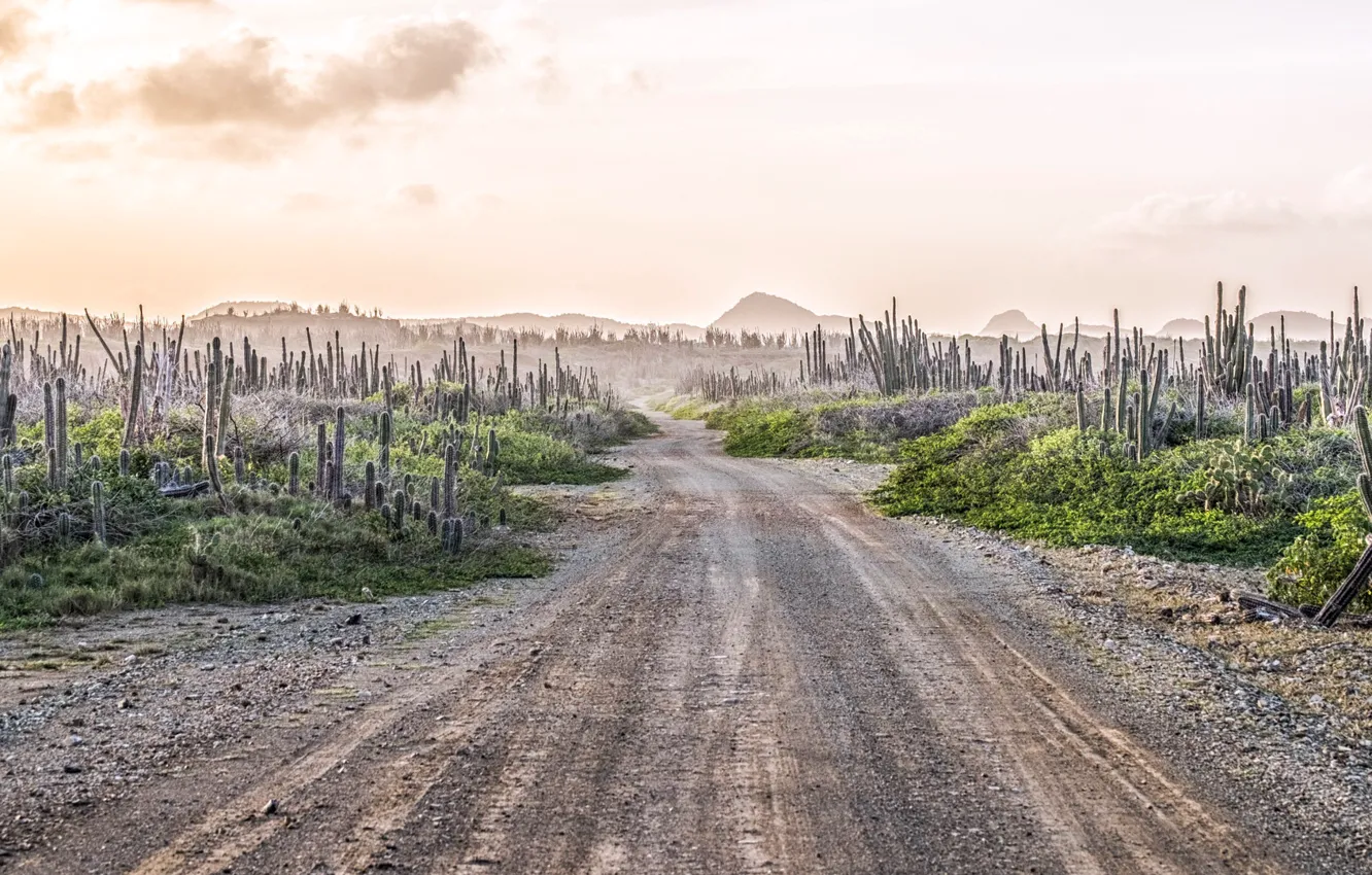 Photo wallpaper road, nature, perspective