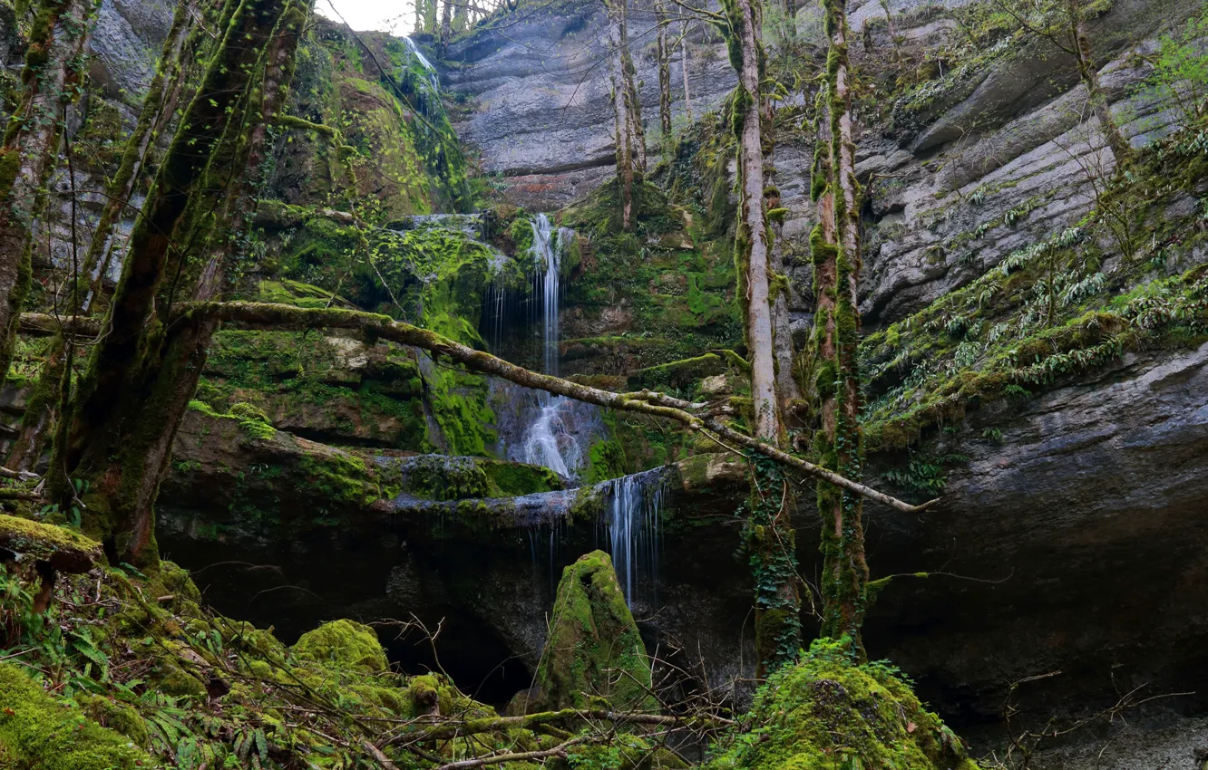Photo wallpaper forest, trees, rocks, waterfall, moss, Luxembourg, Mullerthal Trail