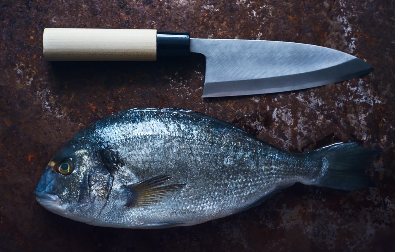 Photo wallpaper fish, knife, Japanese style