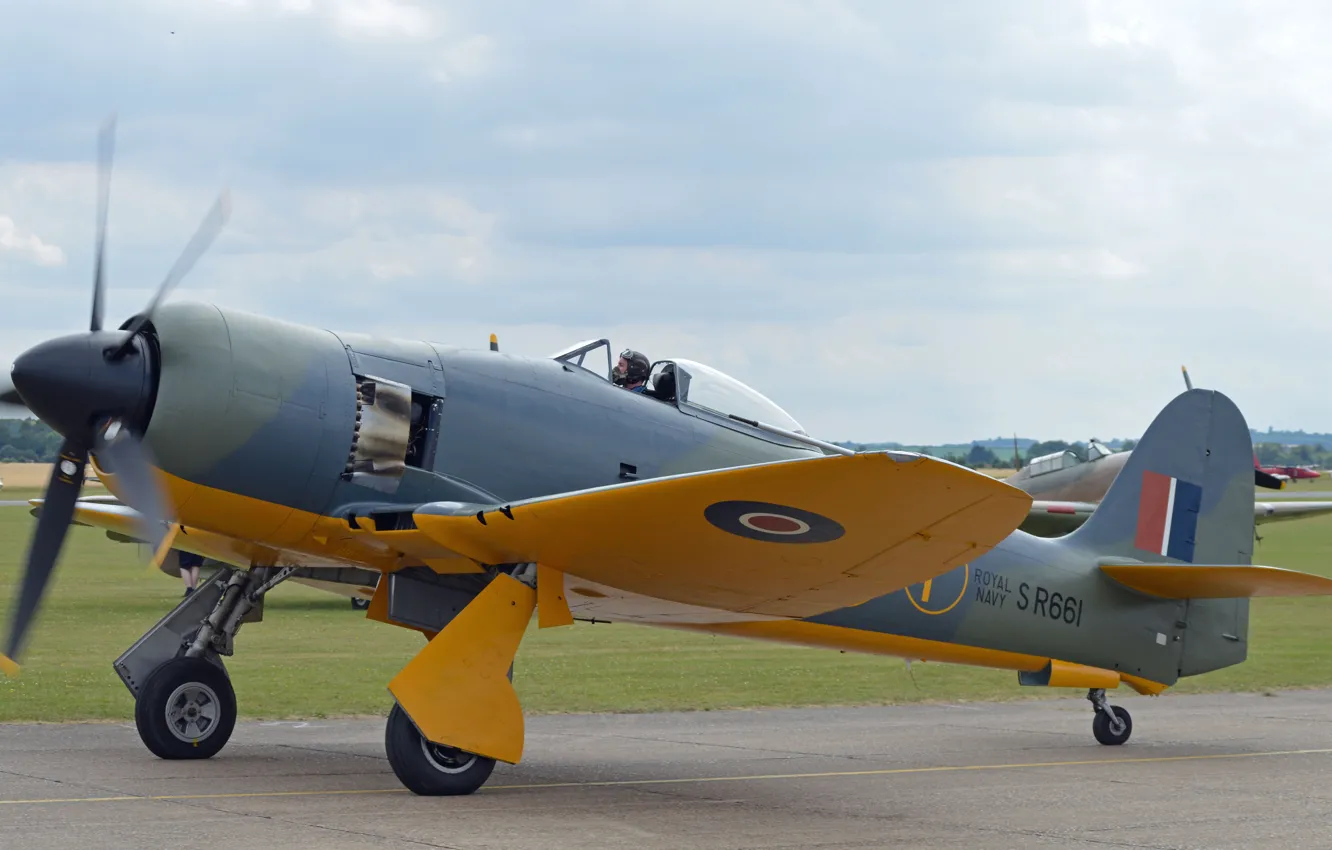 Photo wallpaper carrier-based fighter, Mk II, British, multipurpose, sea fury