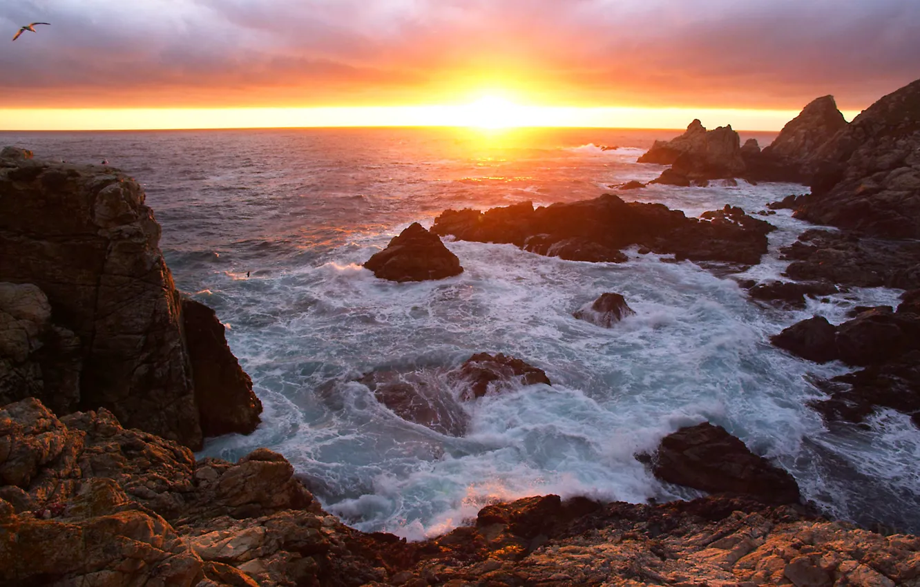 Photo wallpaper sea, sunset, rocks, shore, the evening, surf