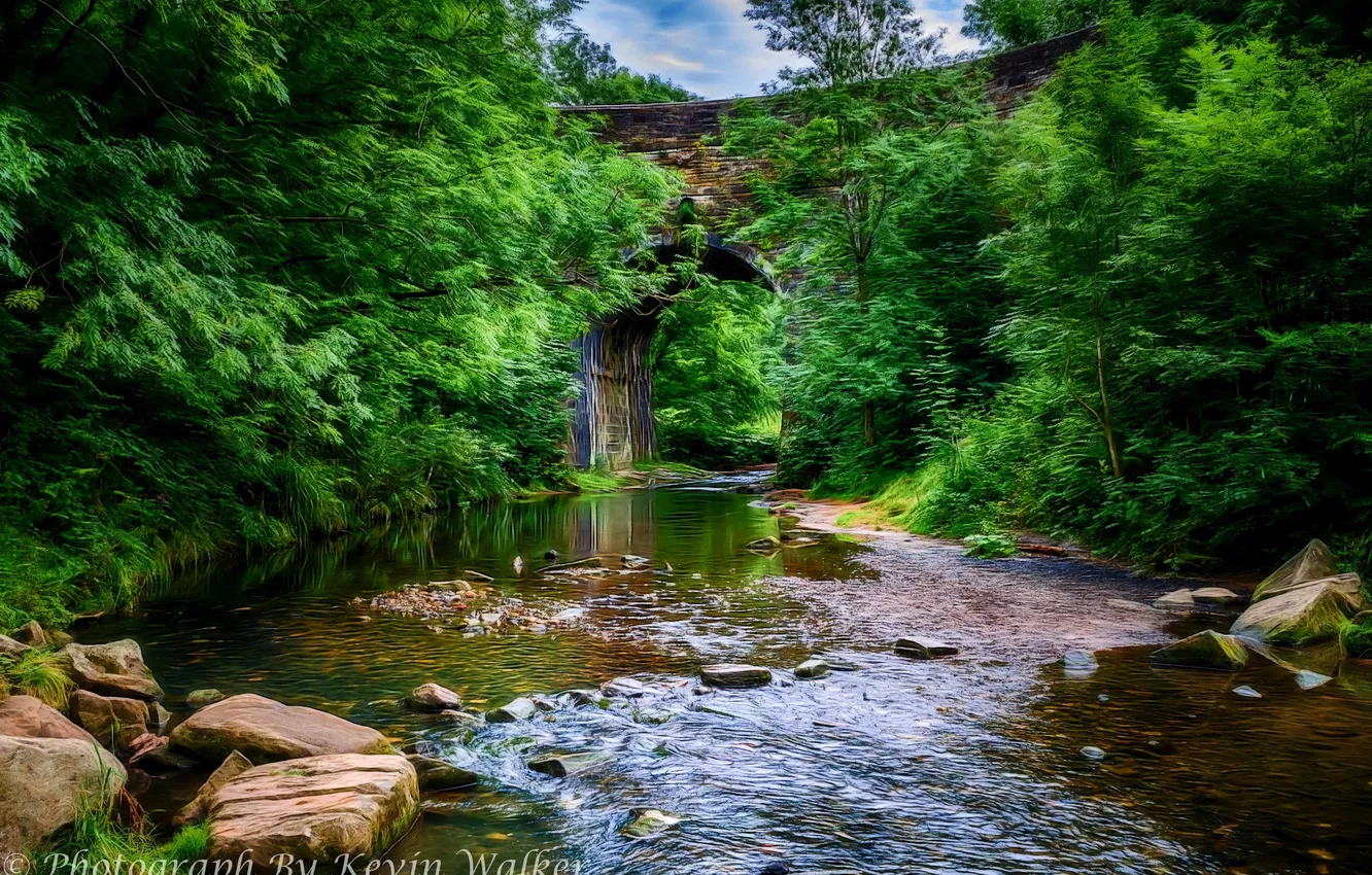 Photo wallpaper trees, bridge, stream, stones, England, treatment, arch, Oldham