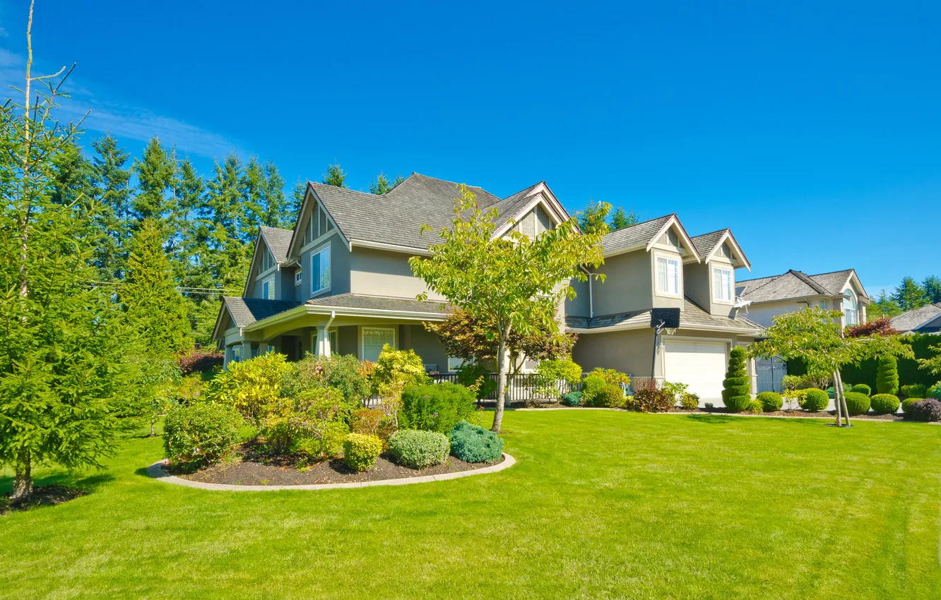 Photo wallpaper greens, summer, the sky, grass, trees, design, lawn, blue