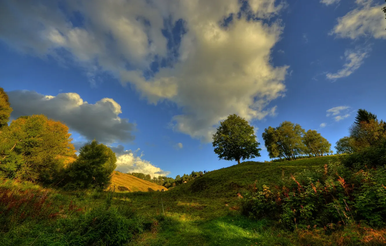 Photo wallpaper the sky, grass, clouds, trees, hills