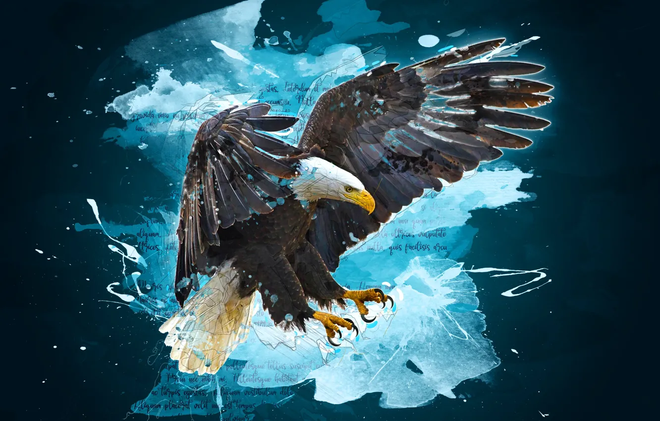 Photo wallpaper flight, squirt, rendering, background, the inscription, collage, bird, photoshop