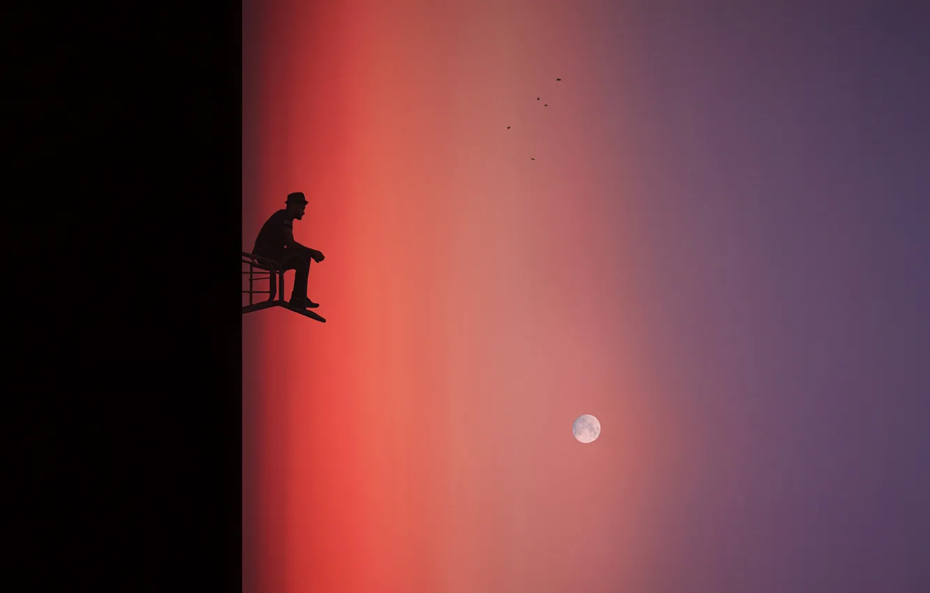 Photo wallpaper bird, the moon, people, moon, birds, man, Hossein Zare