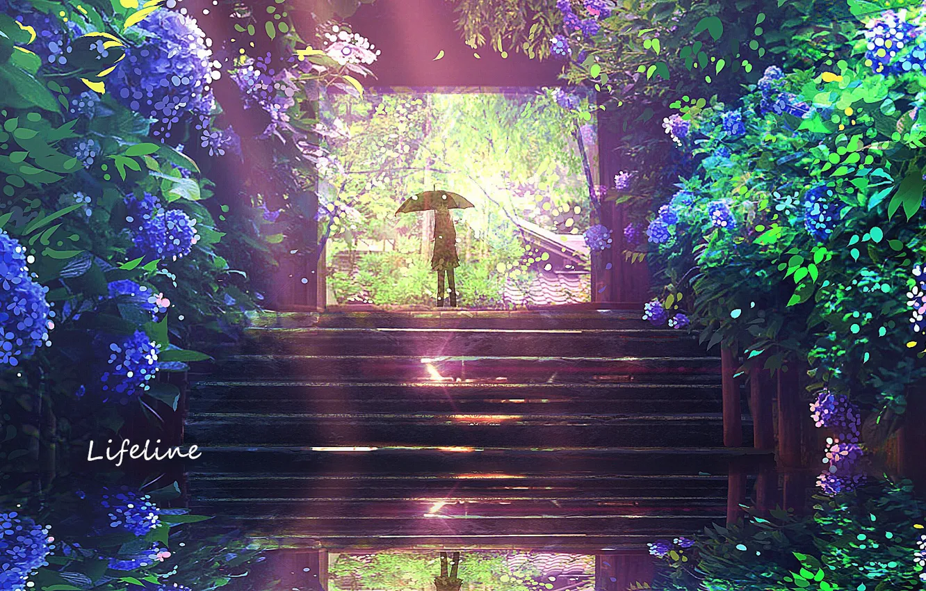 Photo wallpaper girl, flowers, umbrella, gate, ladder, by Lifeline