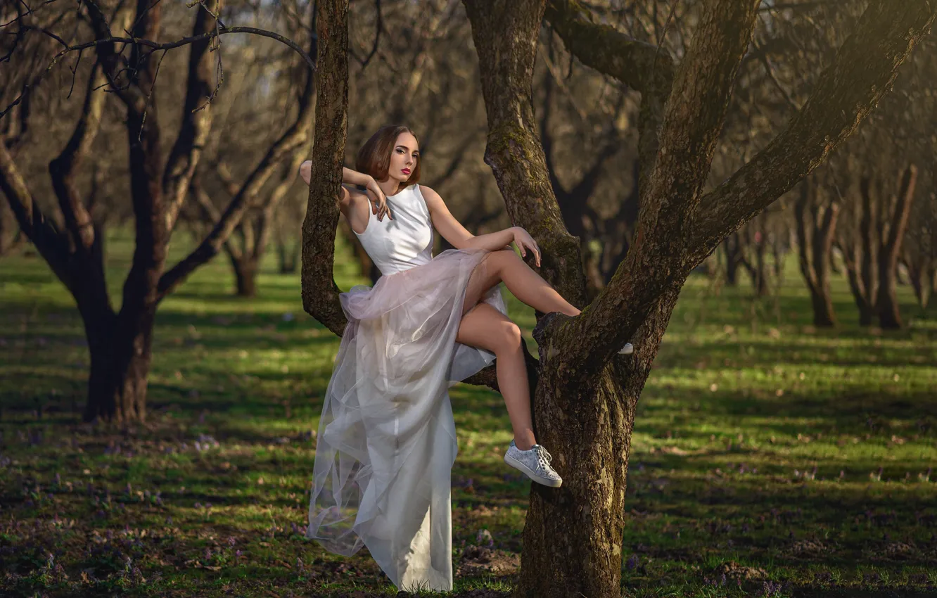 Photo wallpaper girl, trees, dress, legs, Dmitry Medved