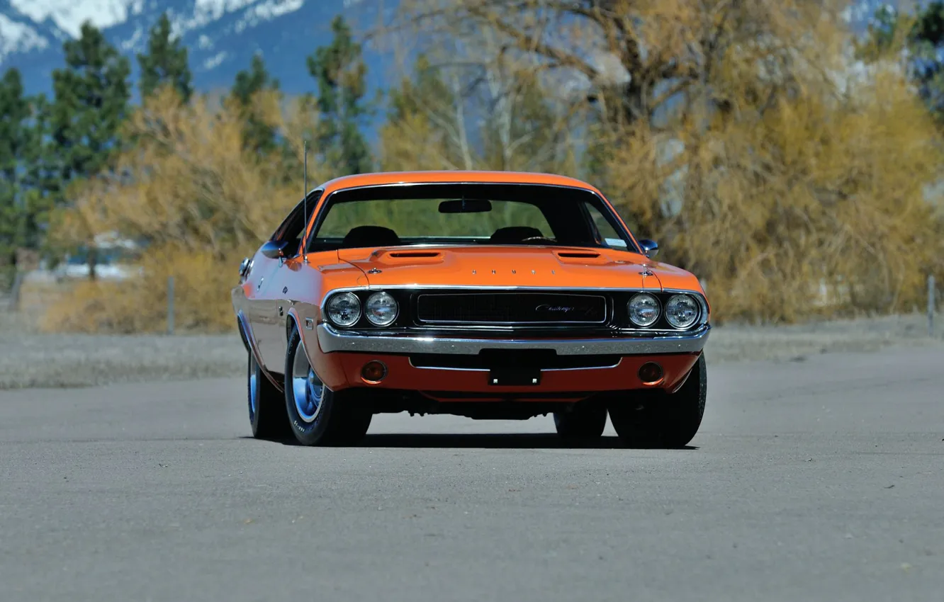 Photo wallpaper Dodge Challenger, Muscle car, Vehicle, Classic vehicle