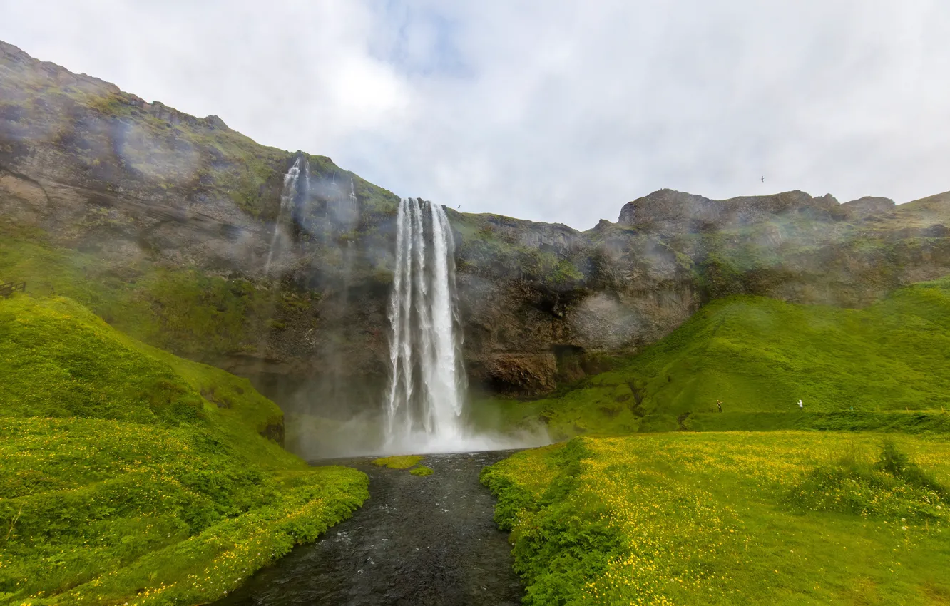 Photo wallpaper greens, the sky, grass, clouds, flowers, stones, rocks, bird