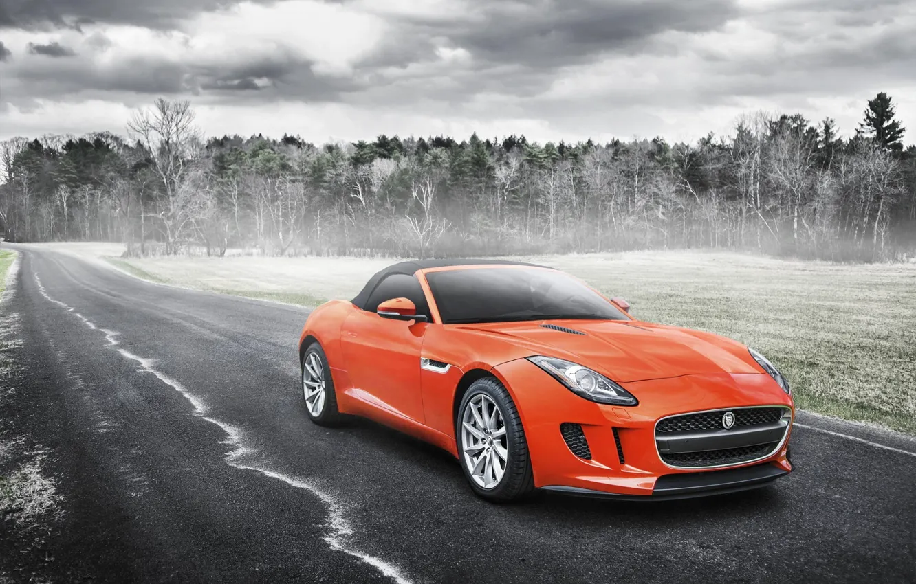 Photo wallpaper Jaguar, Orange, Car, Sport, Road, F-Type