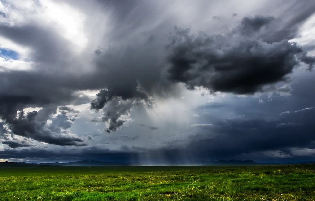 Photo wallpaper field, landscape, clouds, rain, Mongolia