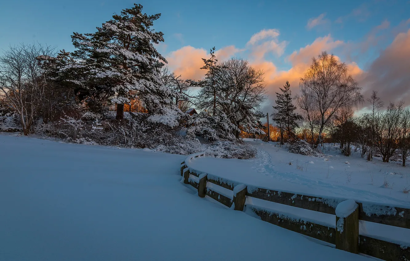 Photo wallpaper winter, snow, trees, the fence, the evening, path