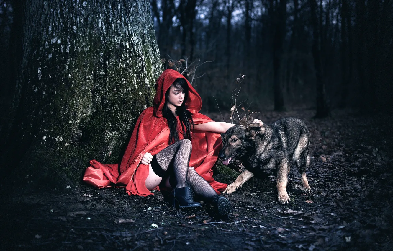Photo wallpaper forest, girl, tree, dog, legs, cloak, Arya, Laurent KC