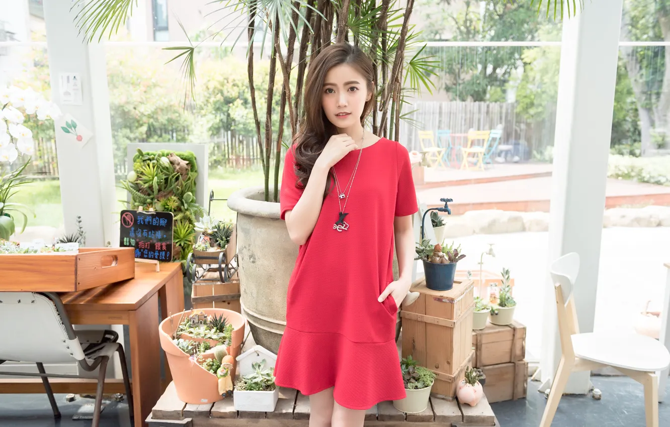 Photo wallpaper look, girl, face, hair, dress