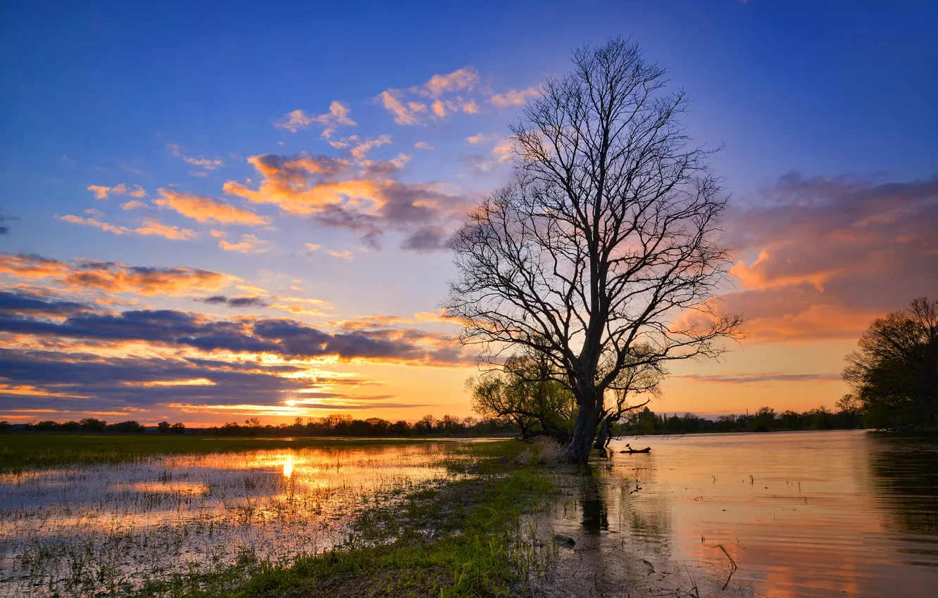 Photo wallpaper the sky, trees, sunset, national Park, Radoslaw Dranikowski, Oder valley
