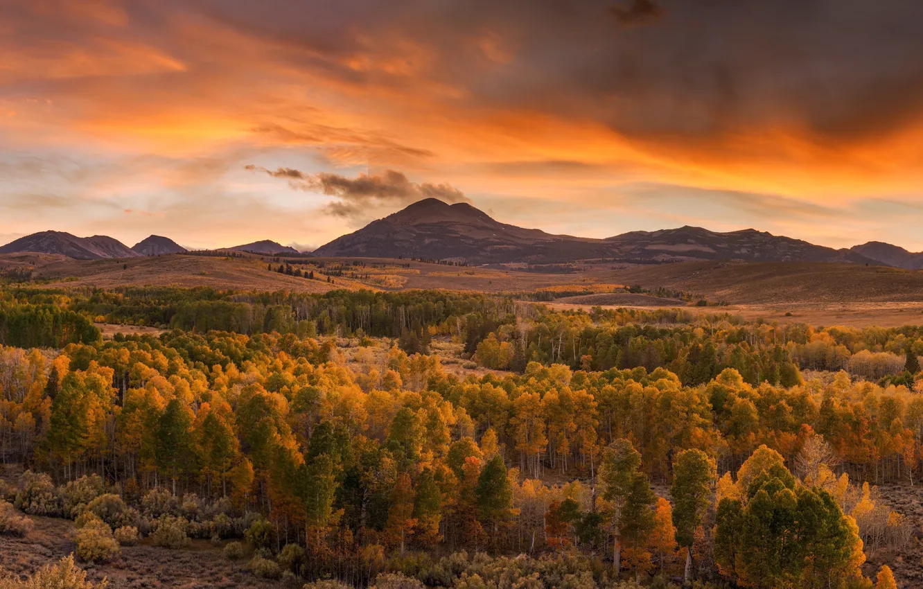 Photo wallpaper autumn, forest, landscape, sunset, mountains, nature, beauty, the evening