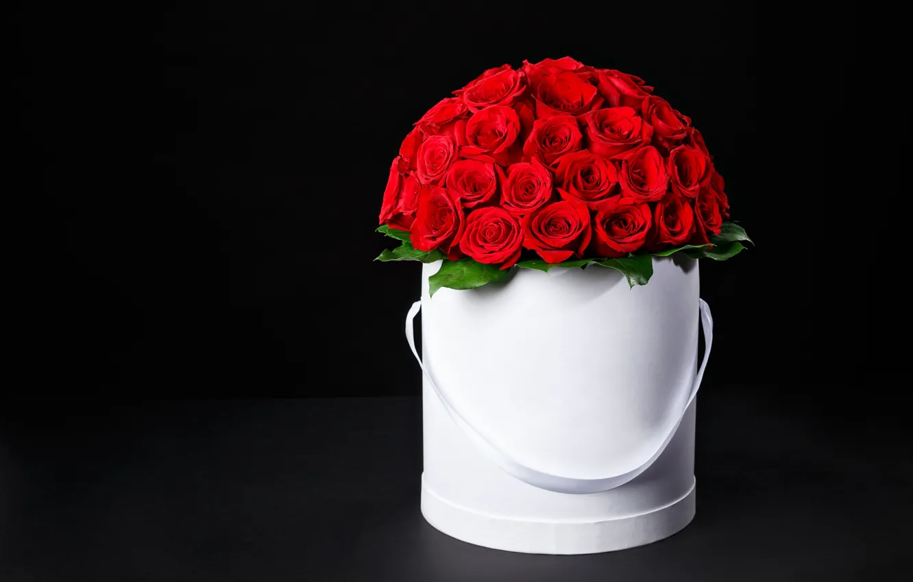 Photo wallpaper flowers, roses, bouquet, red, red, box, flowers, romantic