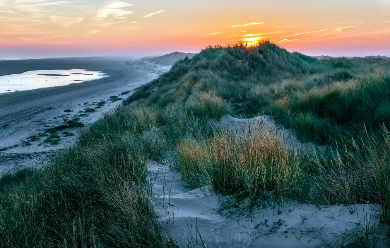 Photo wallpaper Nederland, dunes, Friesland, Ameland