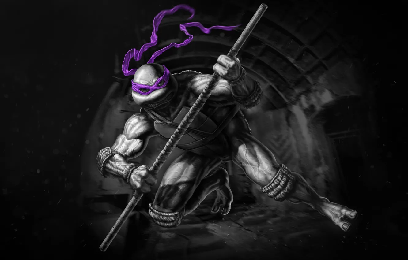 Photo wallpaper Ninja, Teenage mutant ninja turtles, TMNT, Donatello, Donatello, Teenage Mutant Ninja Turtles, Turtles, Concept Art