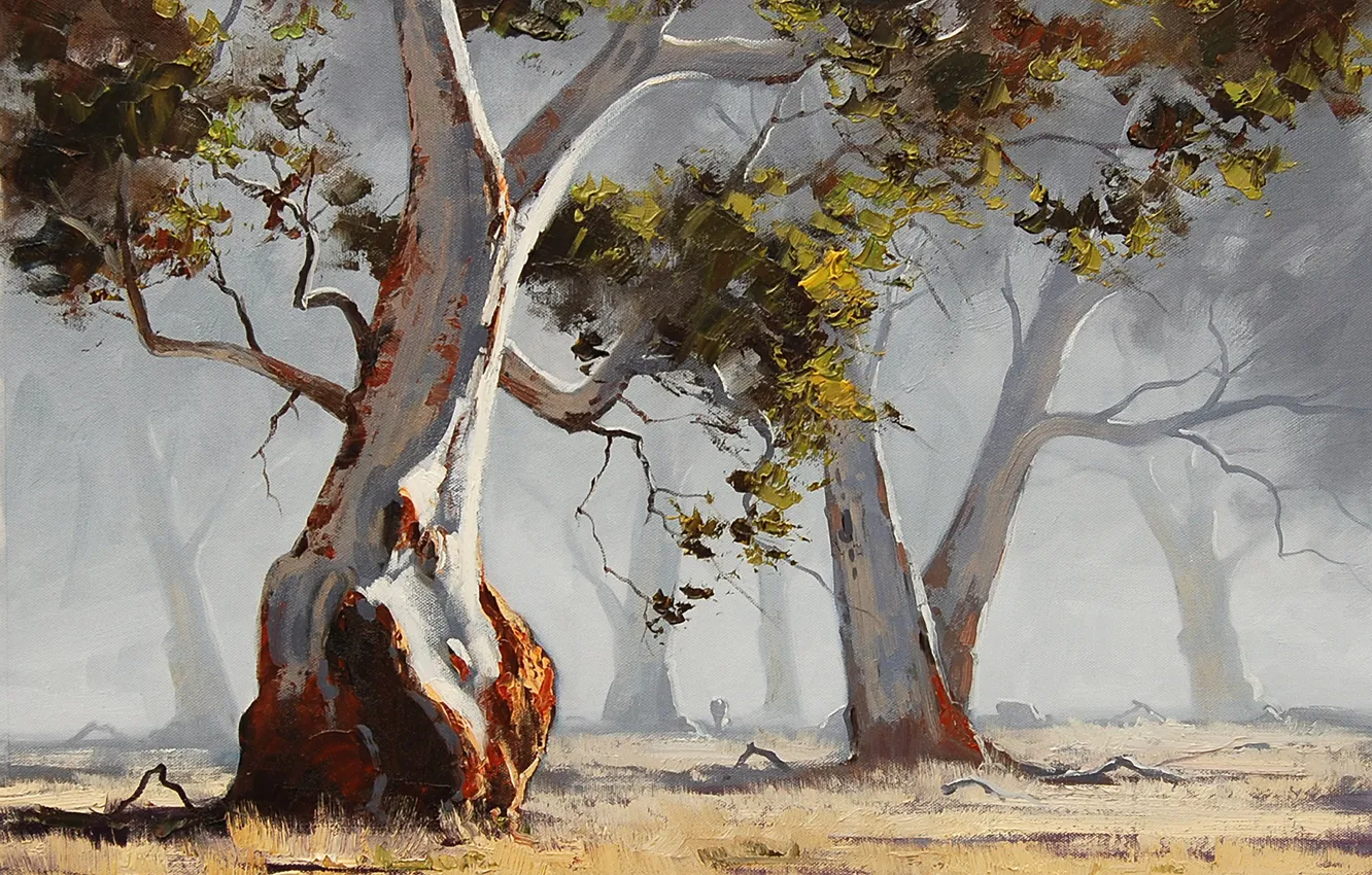 Photo wallpaper trees, nature, art, Sunny, artsaus, eucalyptus tree