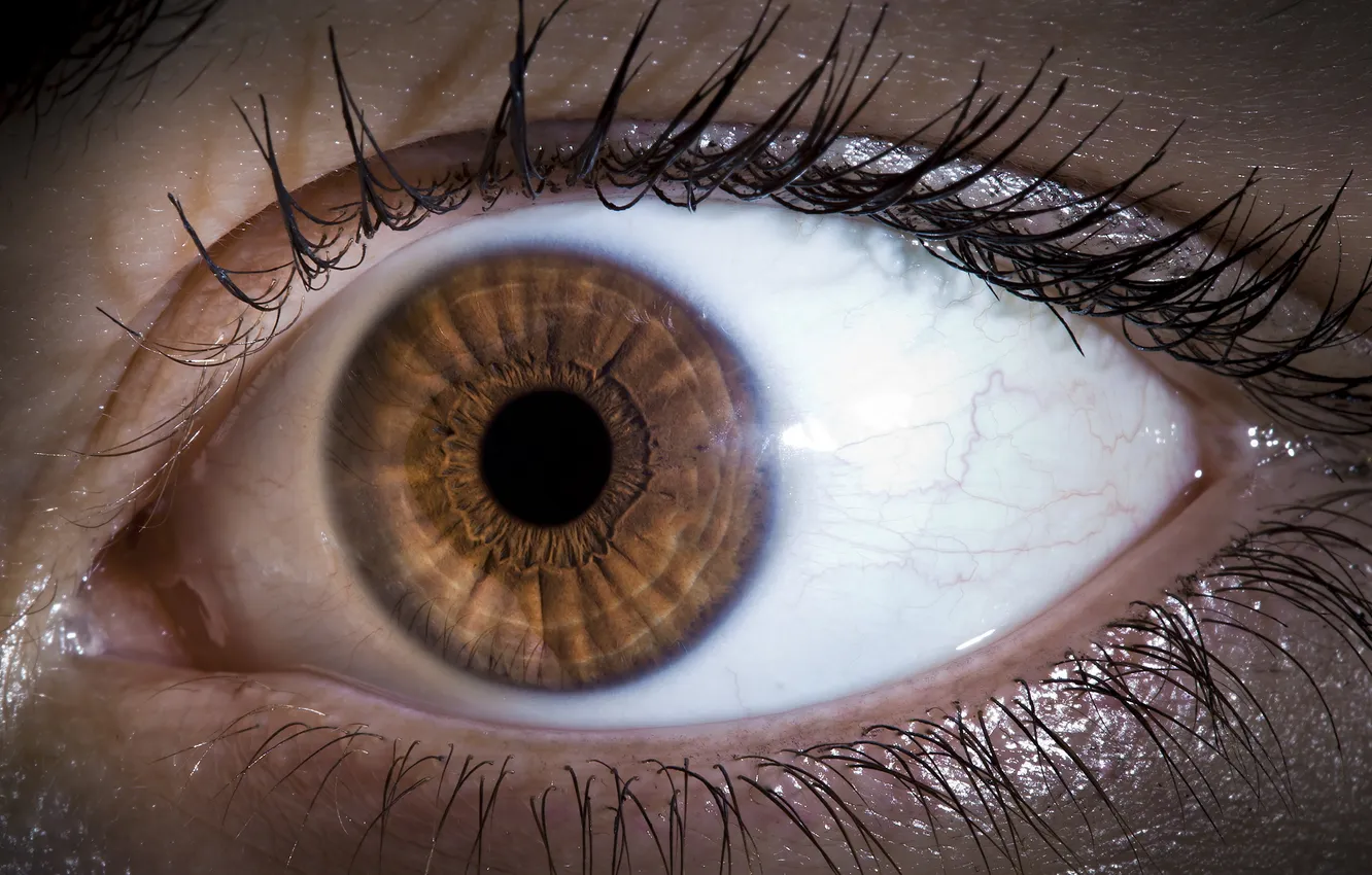 Photo wallpaper eyes, macro, background