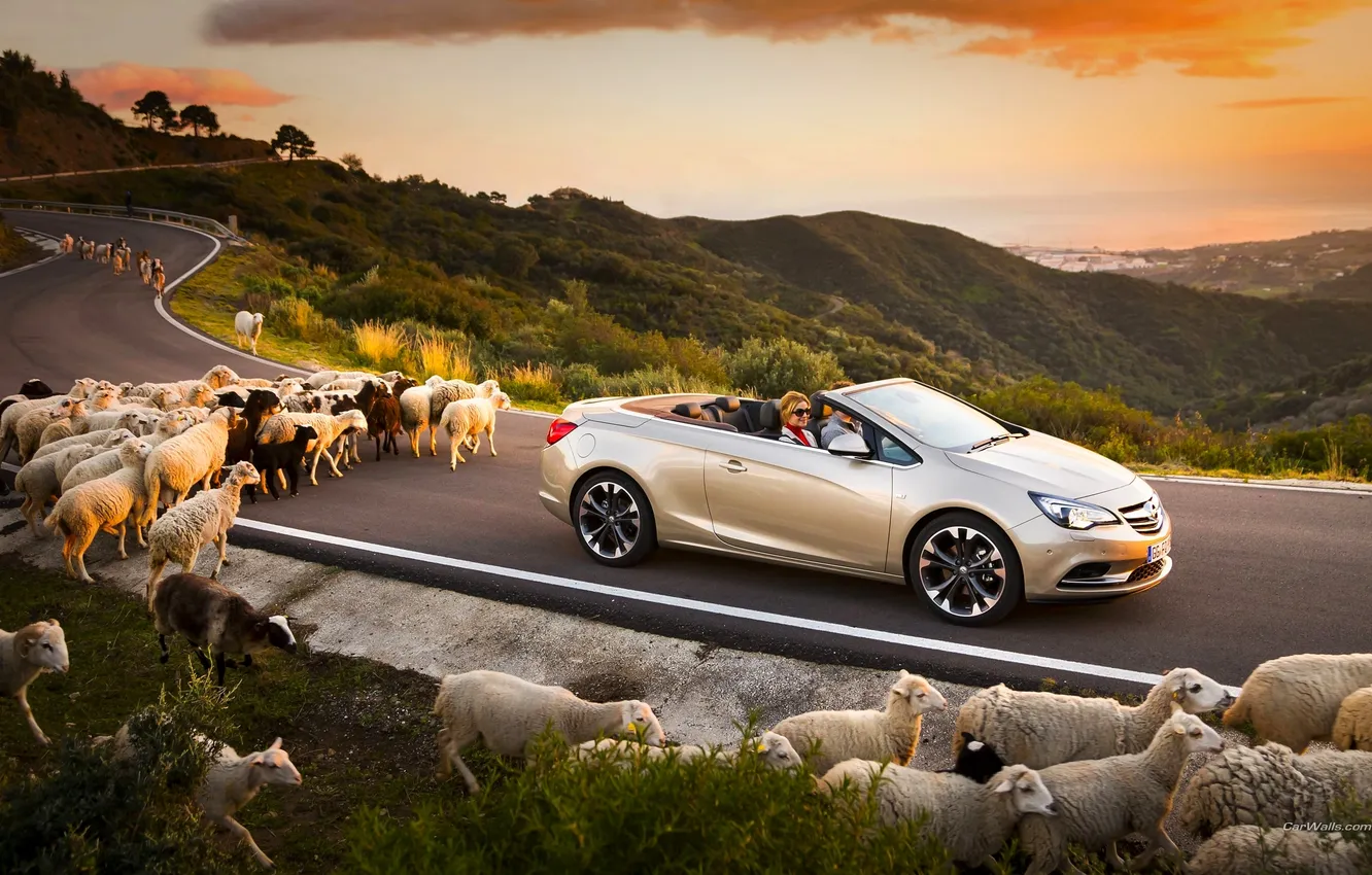 Photo wallpaper road, machine, sheep, Opel, convertible, cattle, Opel, Waterfall