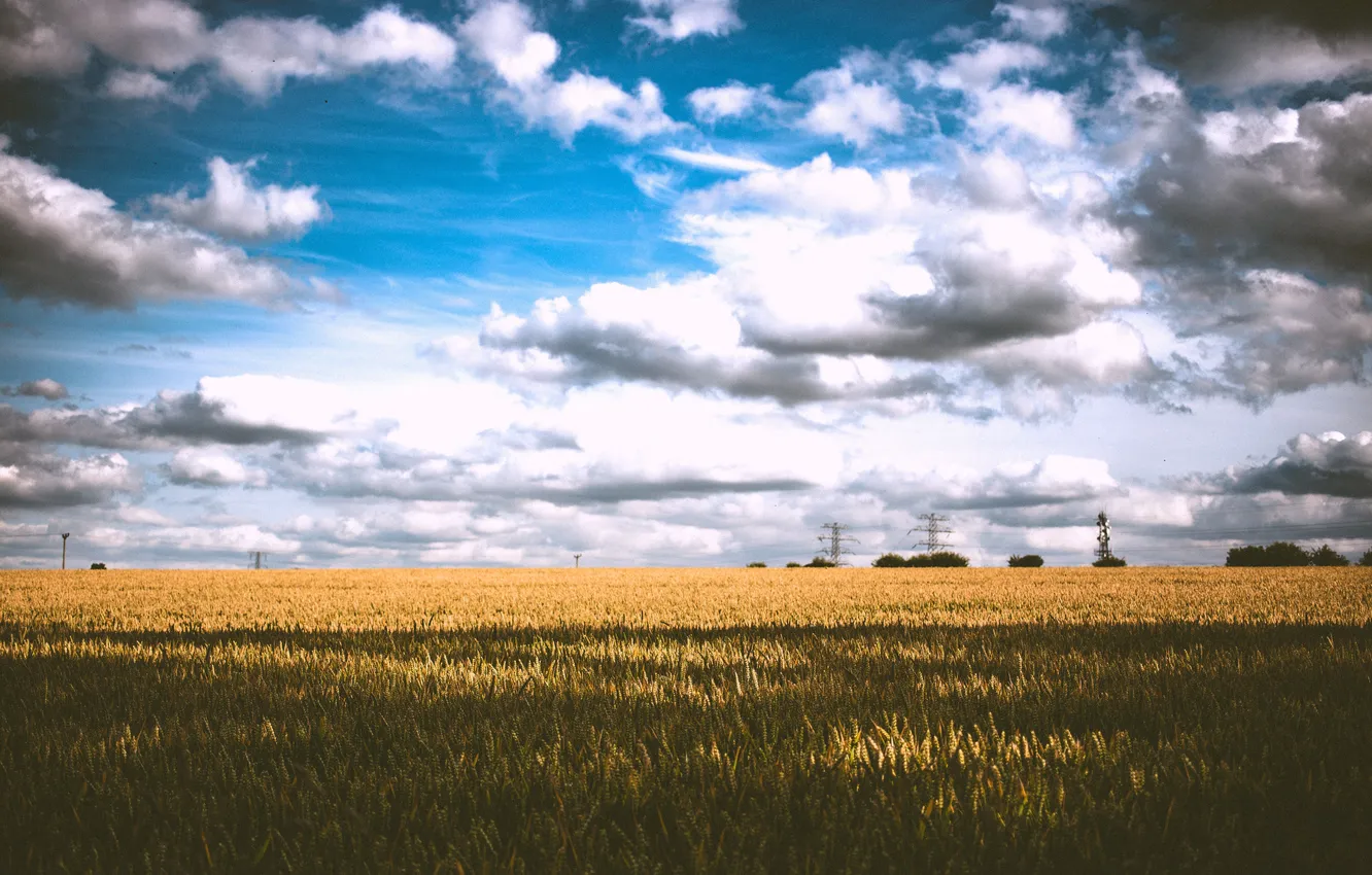 Photo wallpaper wheat, field, the sky, clouds, shadow, power lines, wheat field