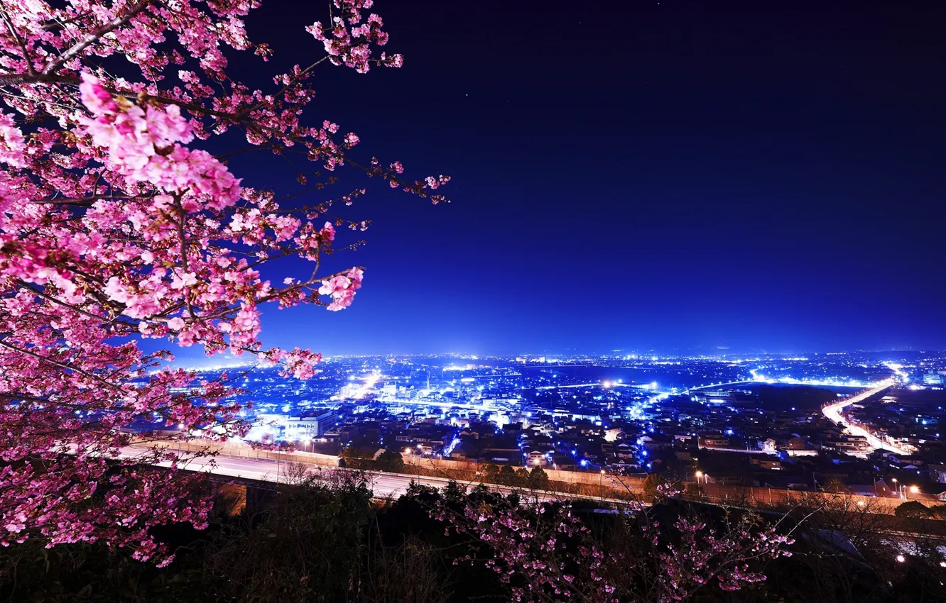 Photo wallpaper night, lights, building, Cherry Blossoms