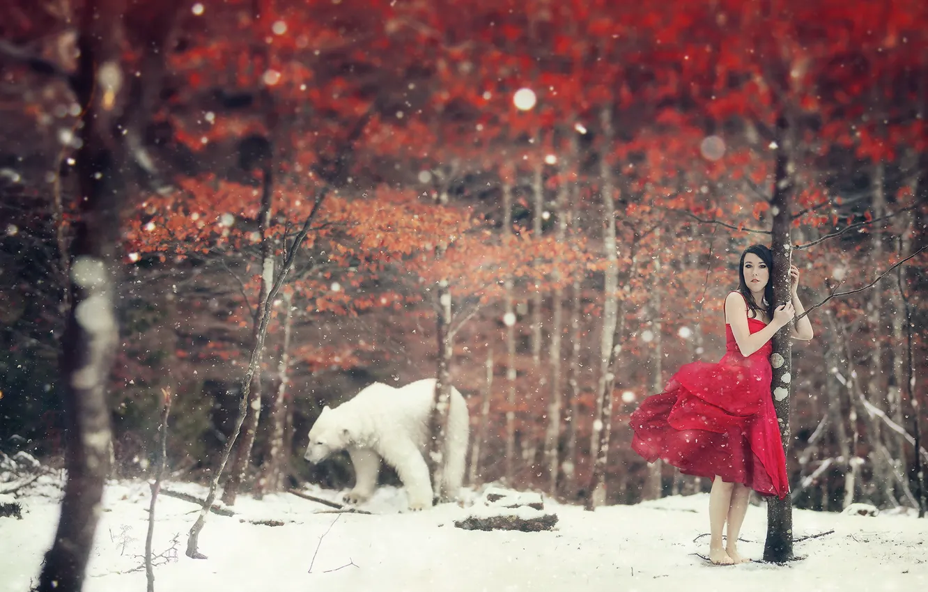 Photo wallpaper winter, girl, the situation, bear