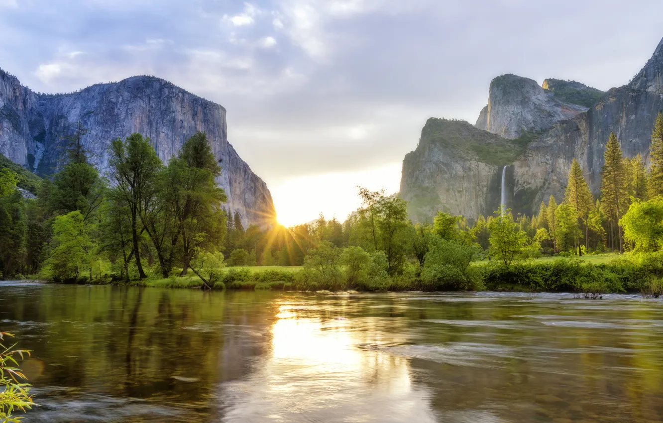 Photo wallpaper greens, forest, the sky, the sun, clouds, rays, light, trees