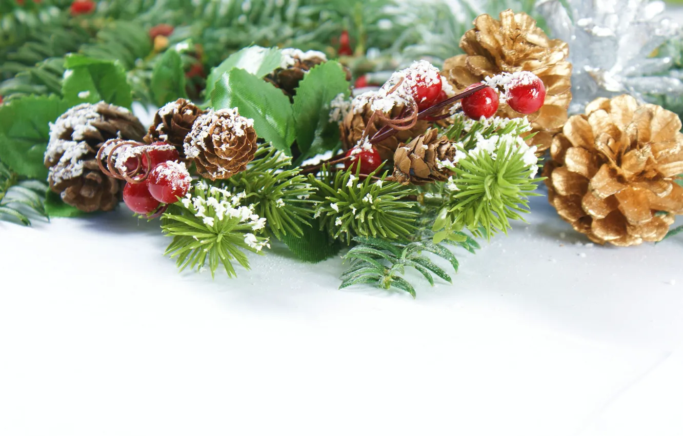 Photo wallpaper berries, new year, bumps, fir-tree branches