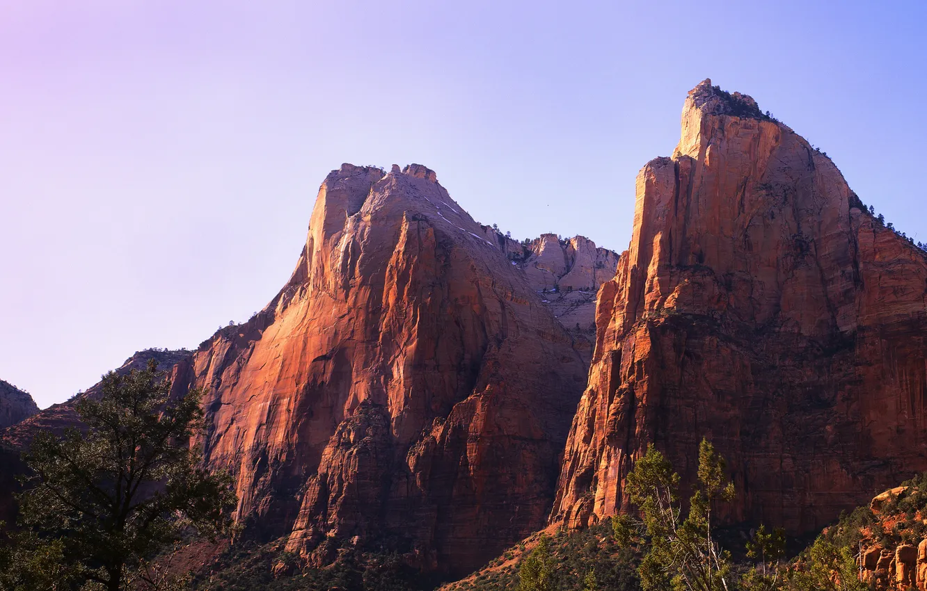 Photo wallpaper forest, mountains, nature, rocks